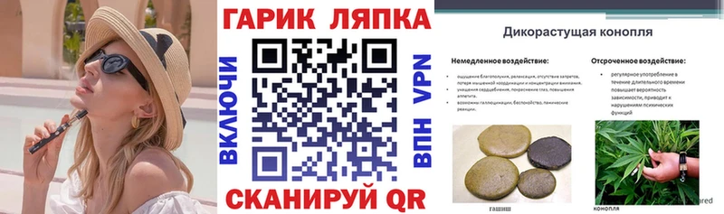 Купить где  Мирный  ГАШ Cannabis 