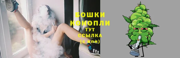 стаф Бугульма