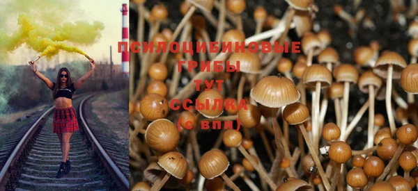 скорость Володарск