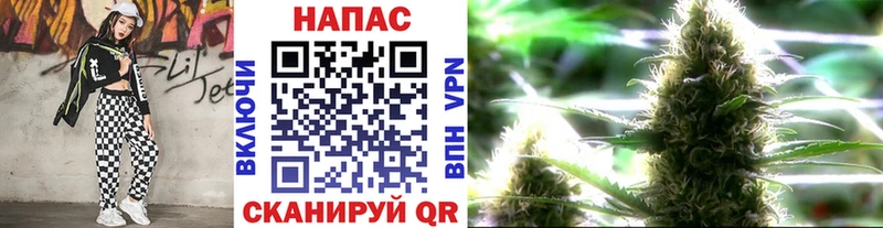 Конопля тримм Мирный