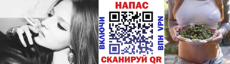 Купить где  Мирный  Конопля план 